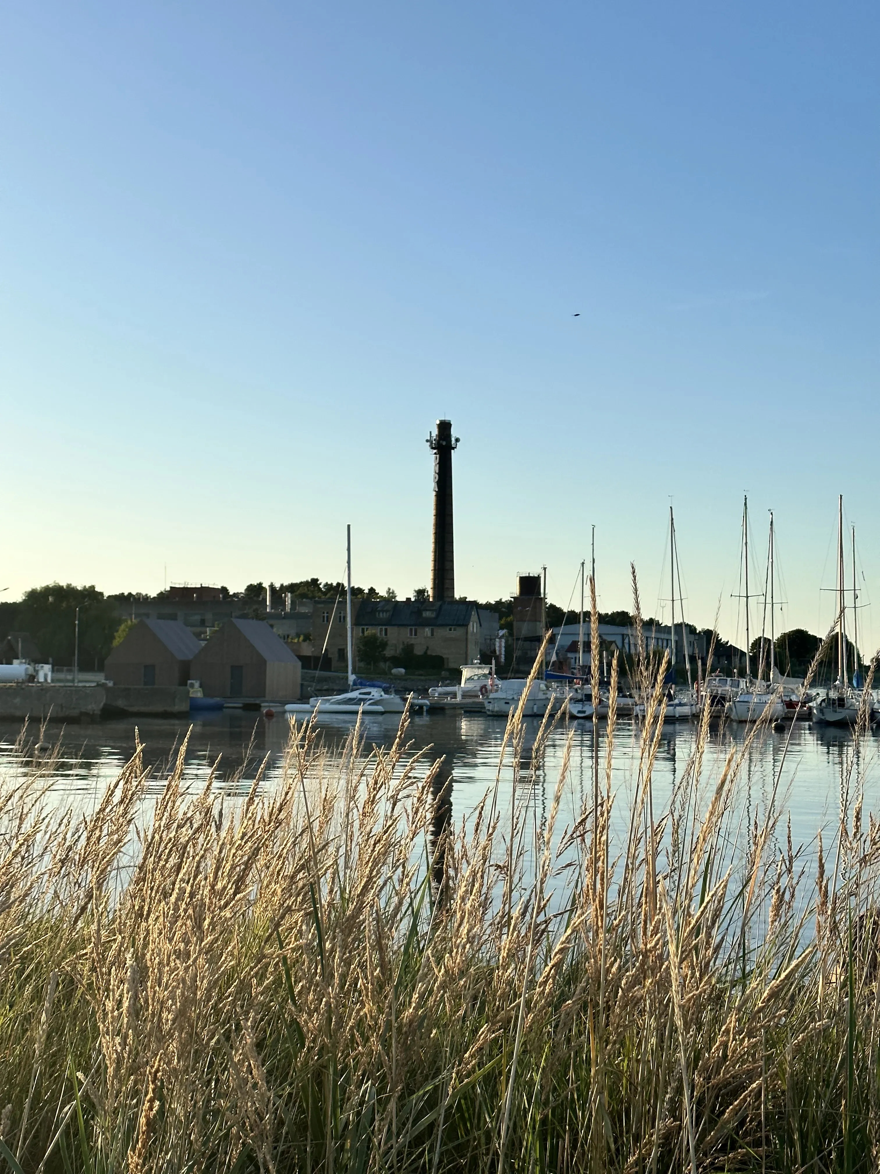 Engure harbour seen through coastal reeds in warm evening light