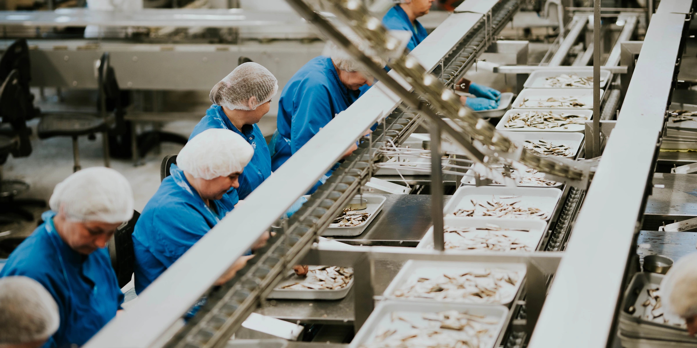 Diplomats production team preparing fish by hand on the modern line in Engure