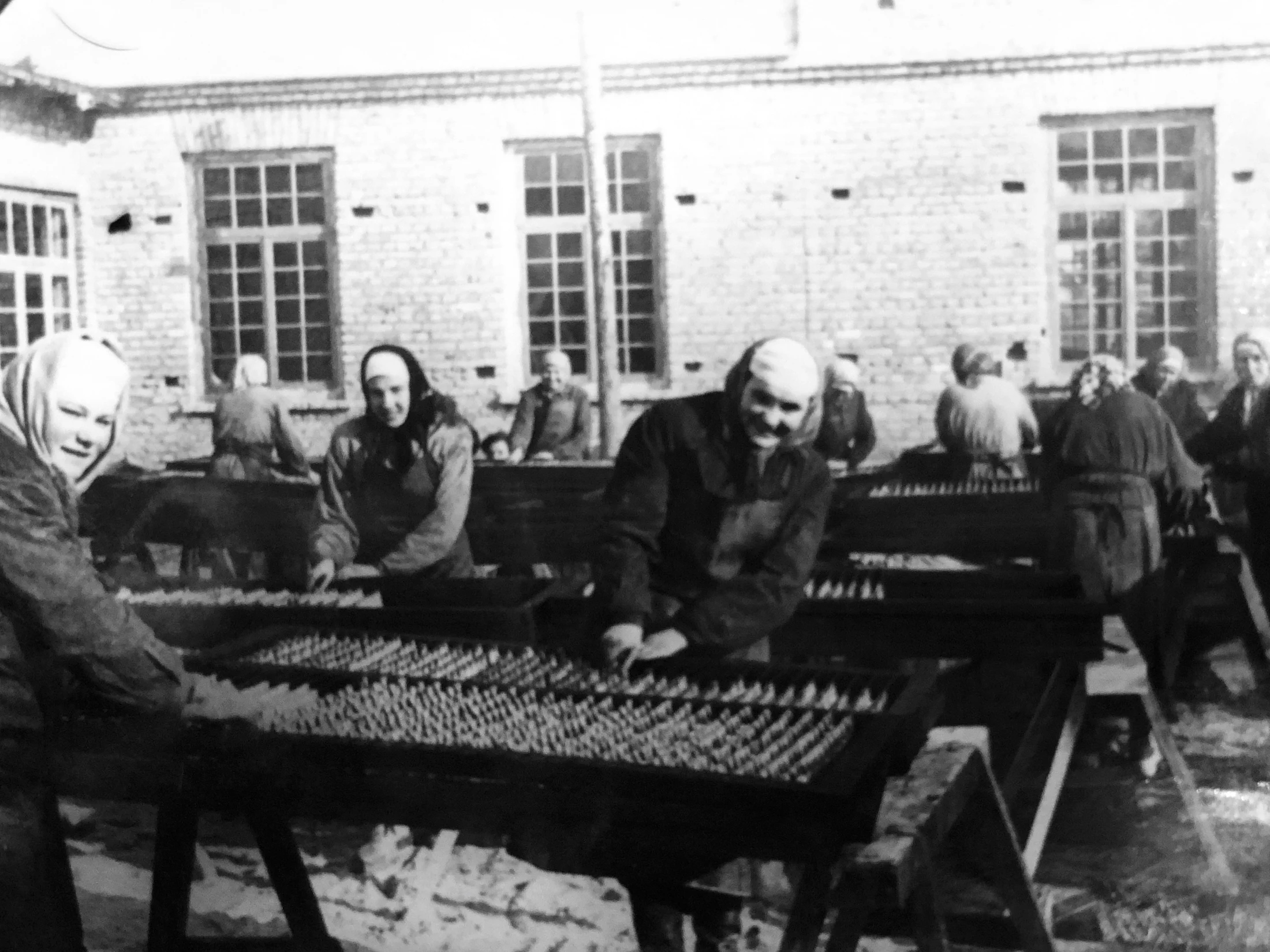 Documented seafood production work in Engure in 1954