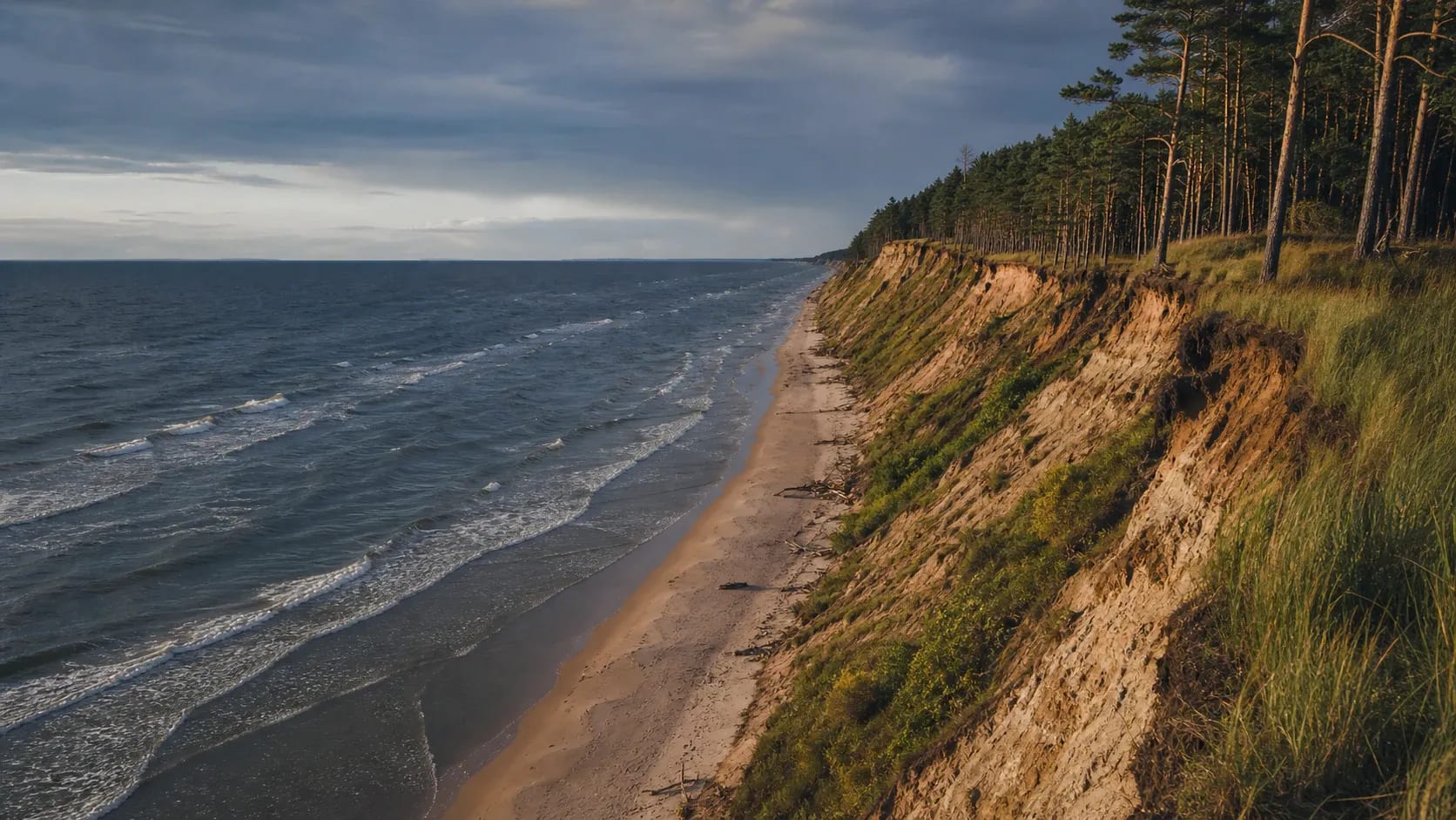 Pine-covered coastal bluffs above the Baltic Sea in Latvia.