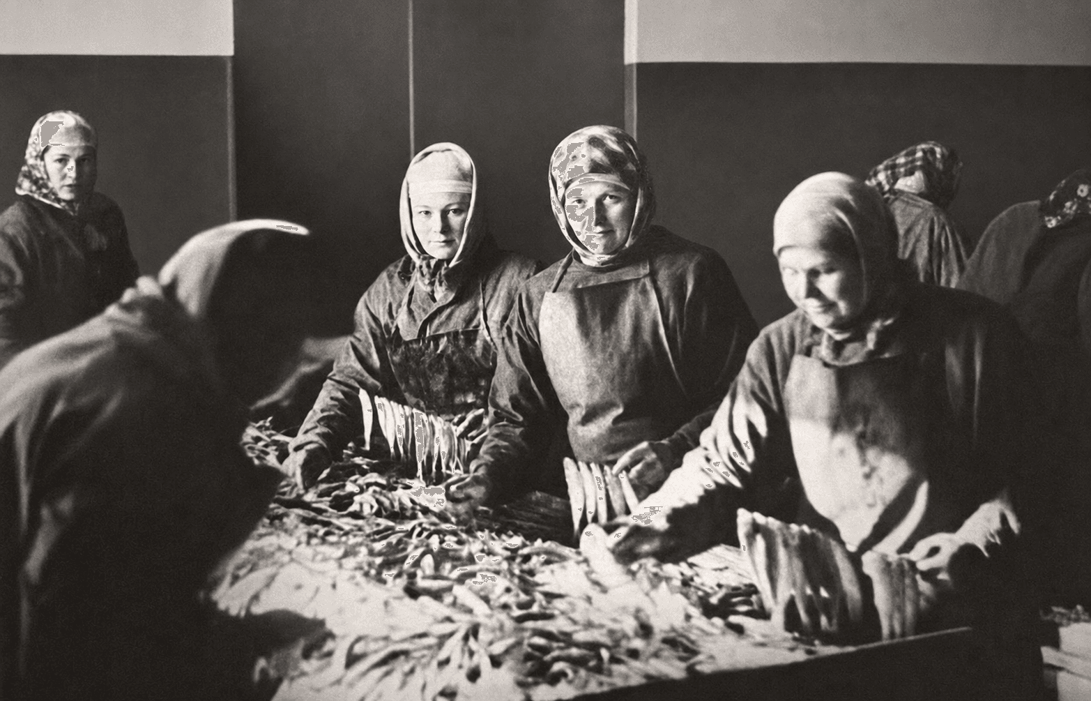 Women preparing fish by hand at the Engure production site