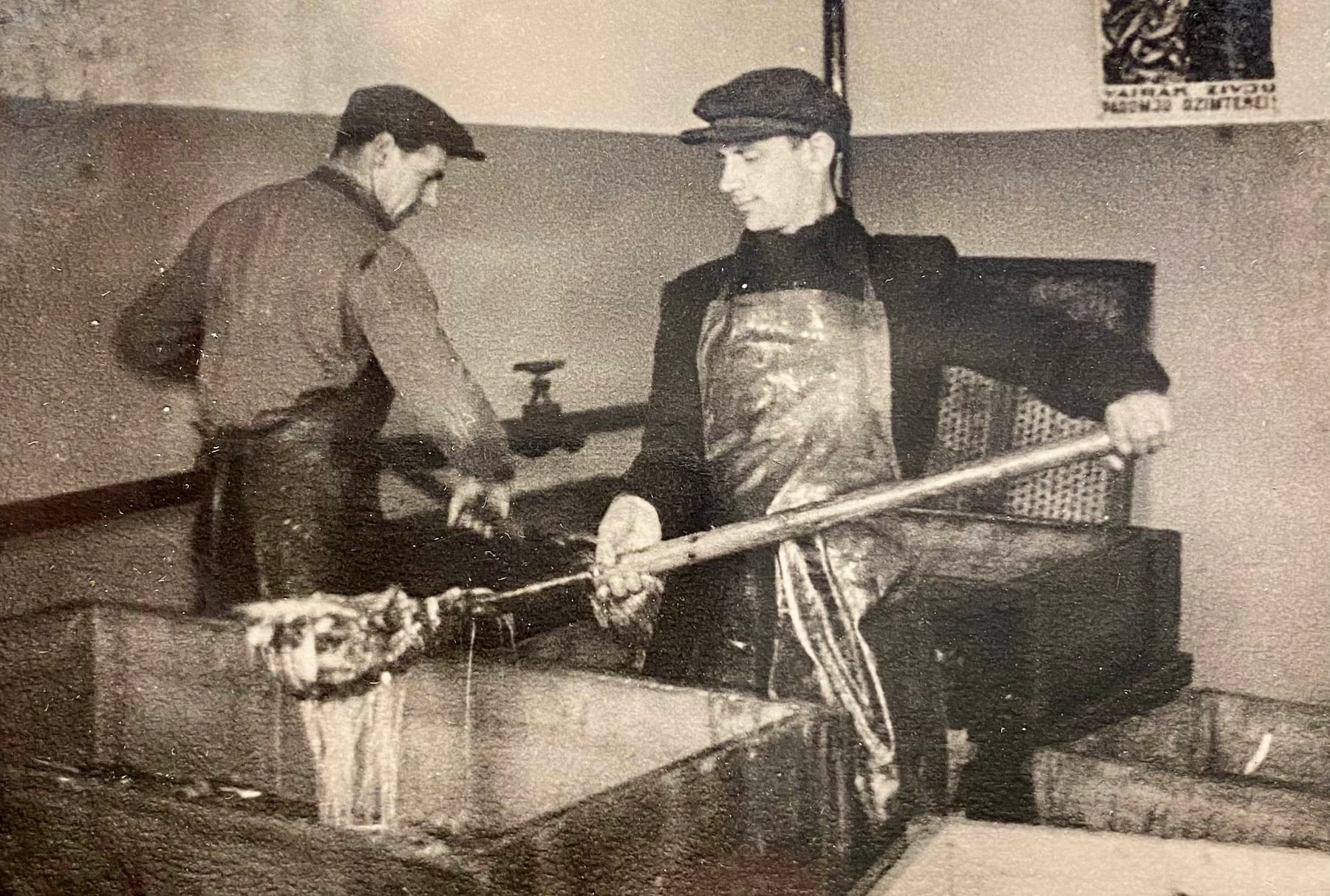 Worker handling a rack of fish during production in Engure
