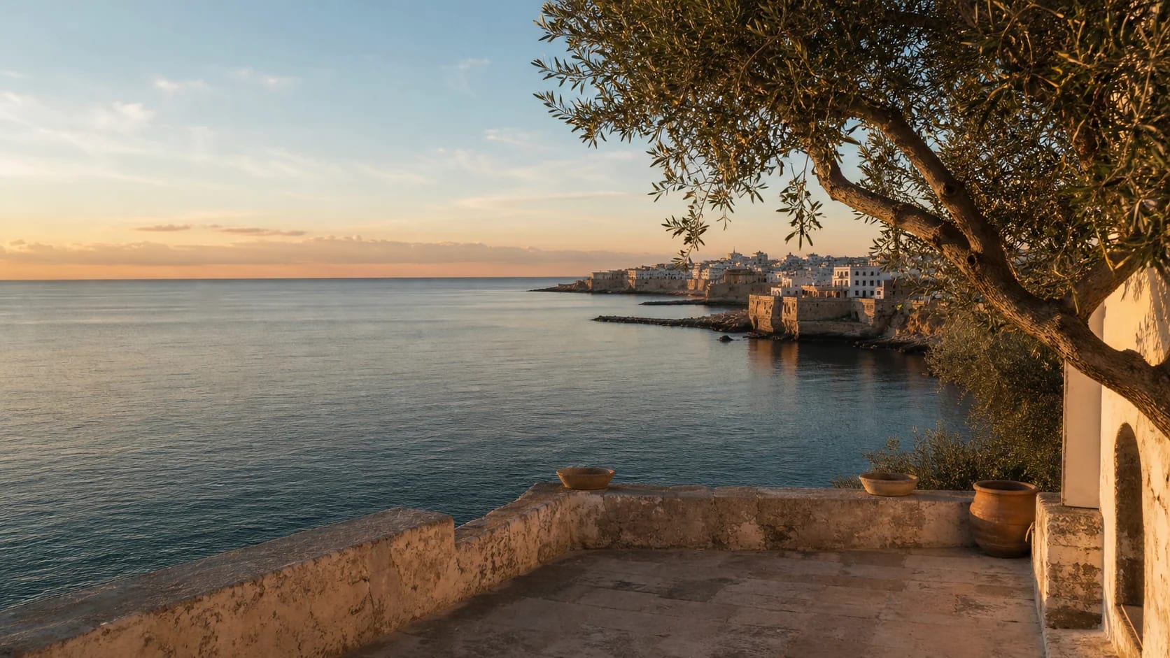 A calm Mediterranean coastline seen from a stone terrace beneath an olive tree.