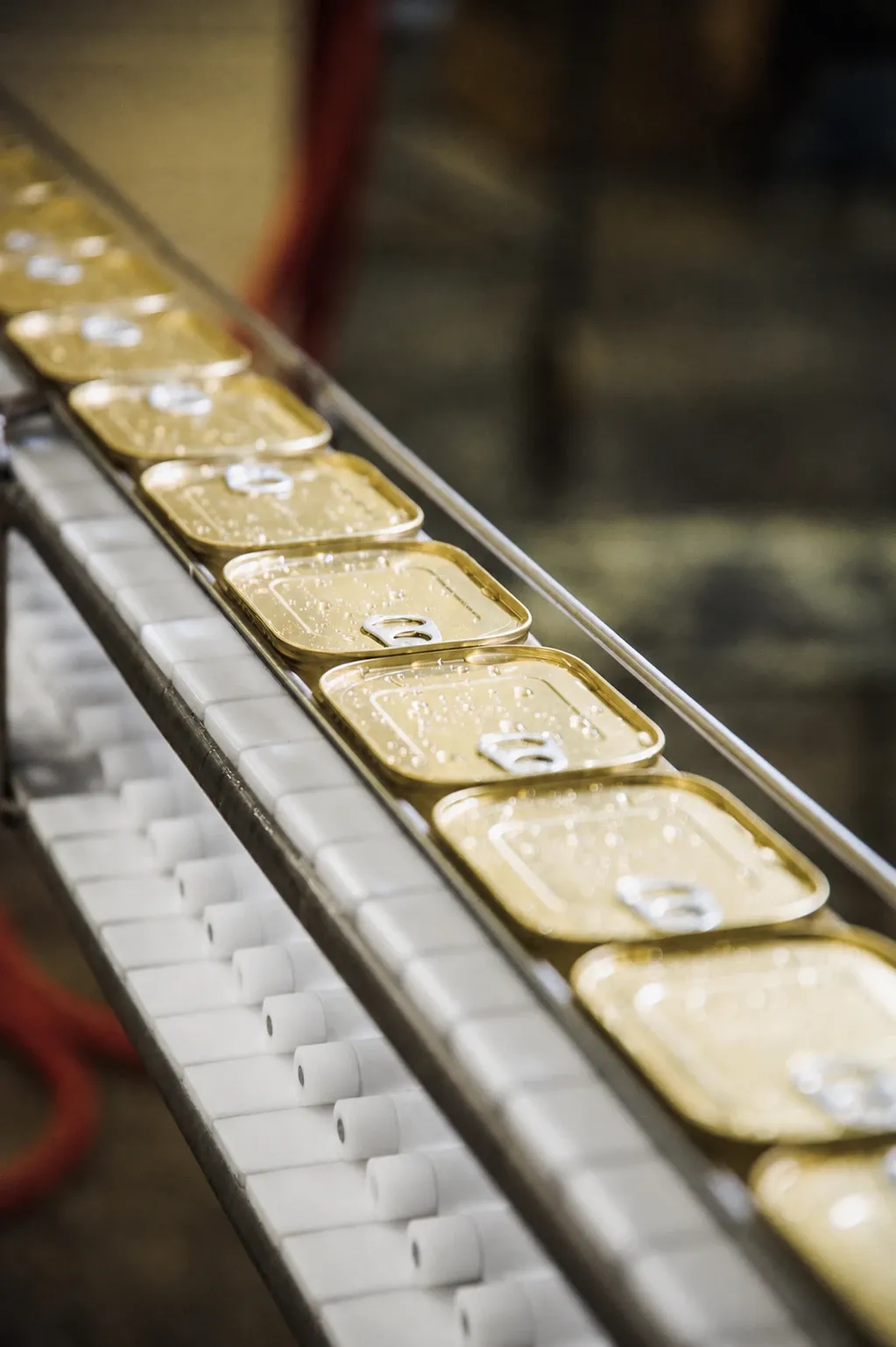 Sealed Dingley seafood cans moving along a clean white conveyor at the SIA Unda factory in Engure, Latvia