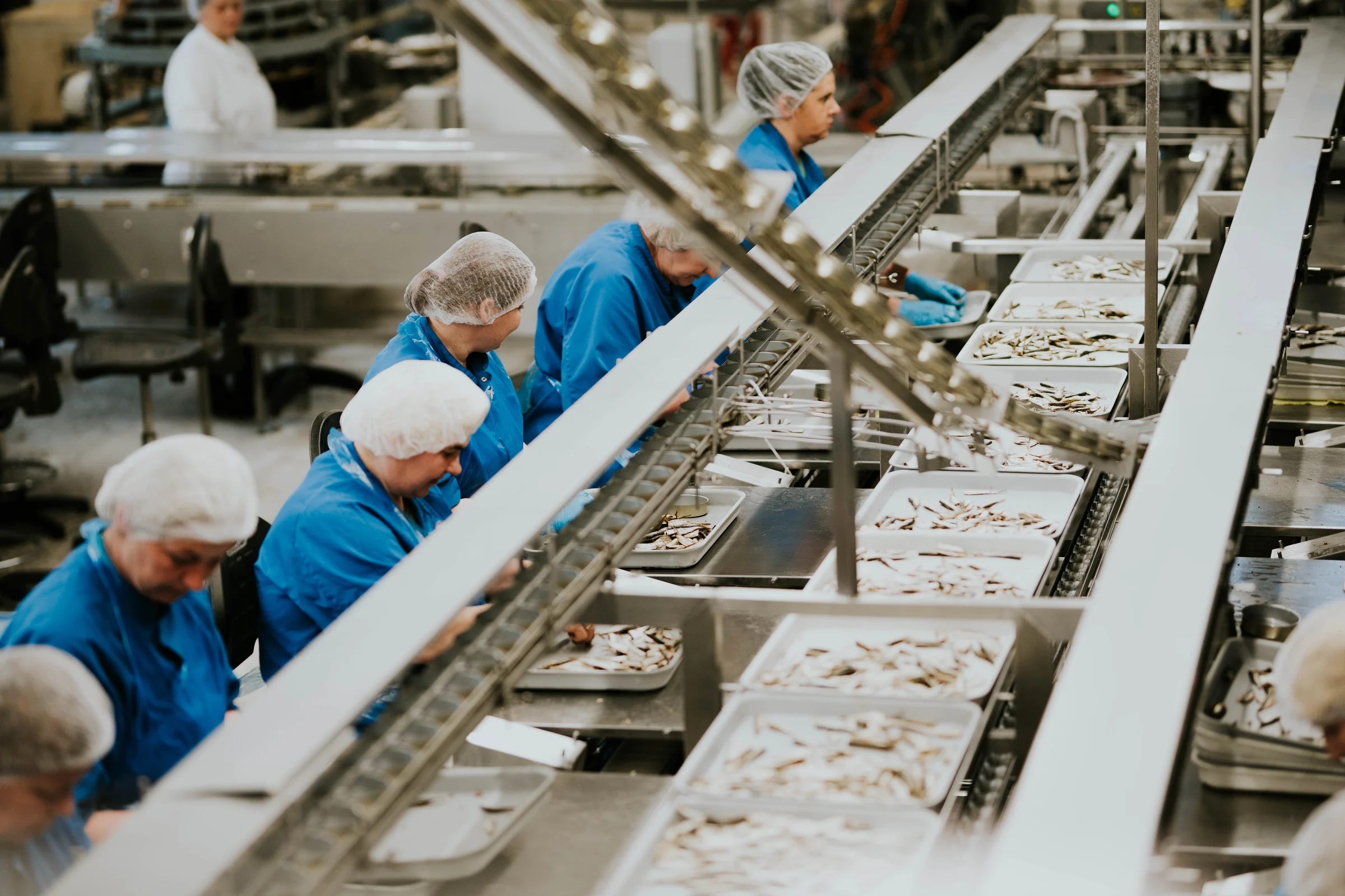 Diplomats production specialists working on the seafood processing line in Engure