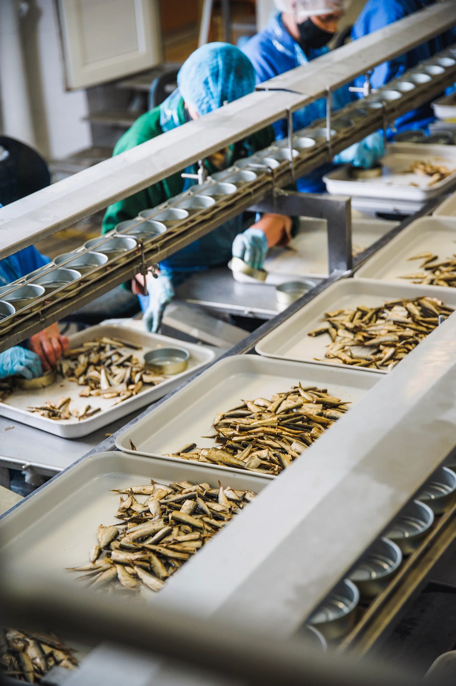 Work in the SIA Unda production environment for private-label manufacturing