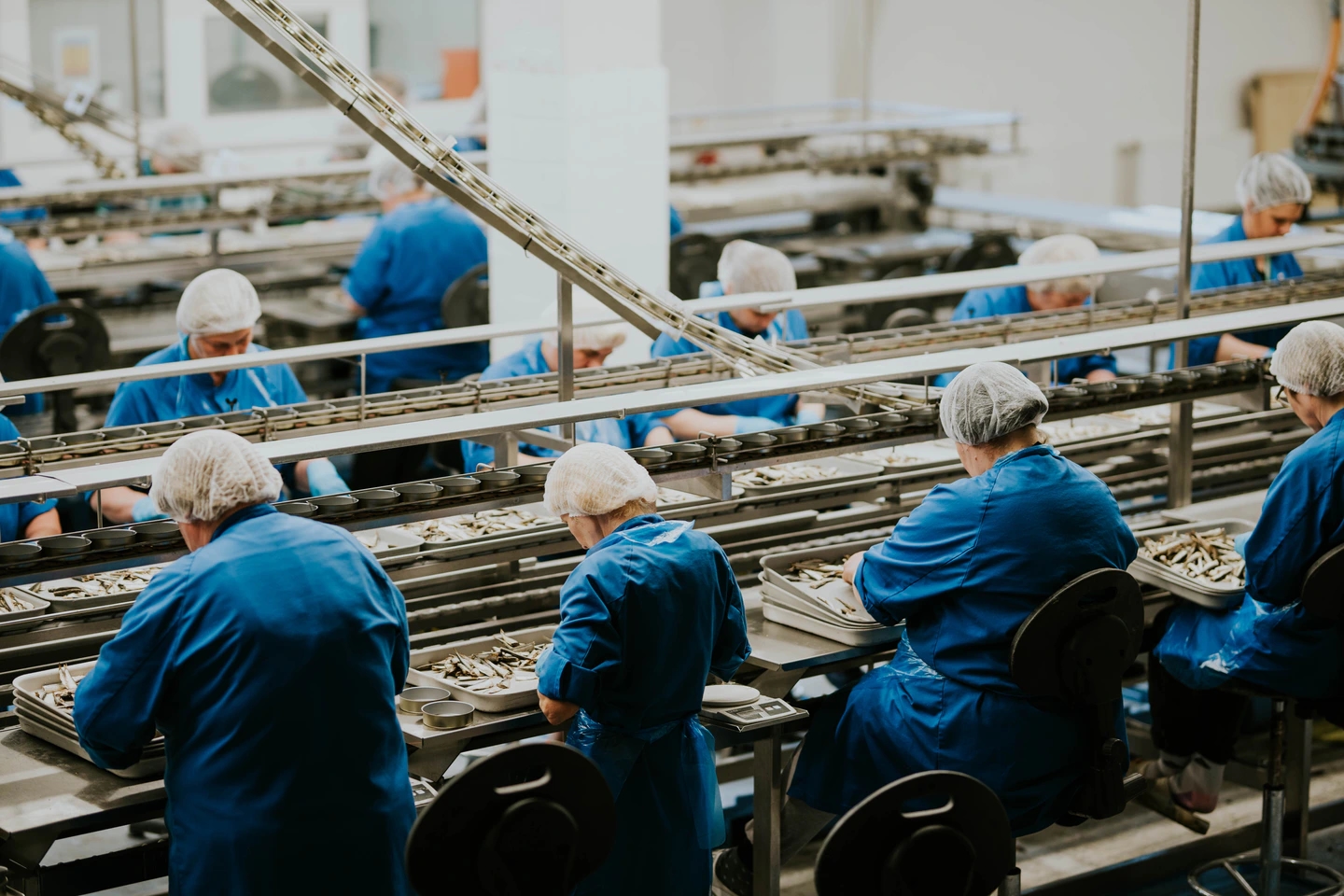 Diplomats production specialists preparing seafood in Engure