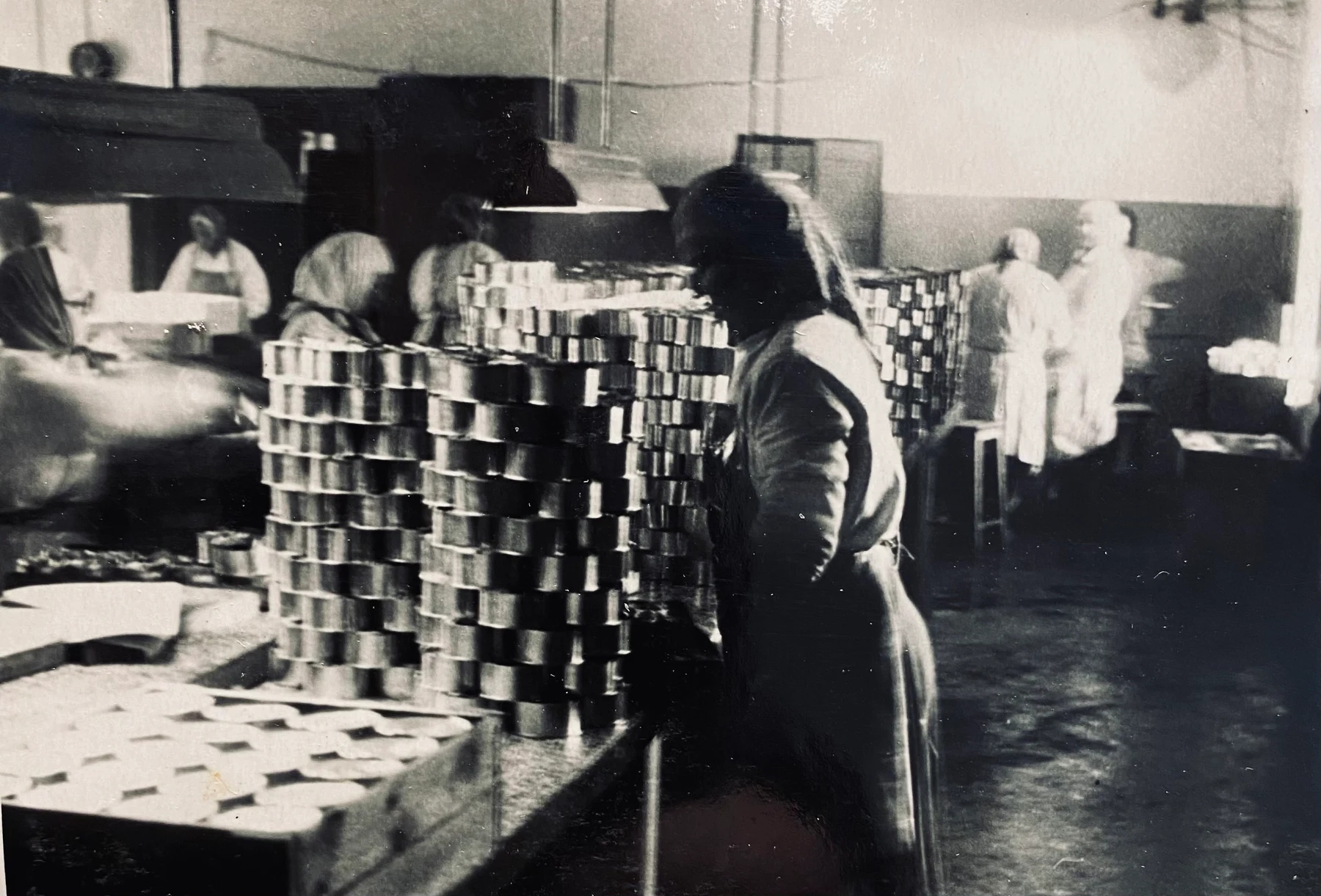 Engure production team working among stacks of seafood cans in the historical factory