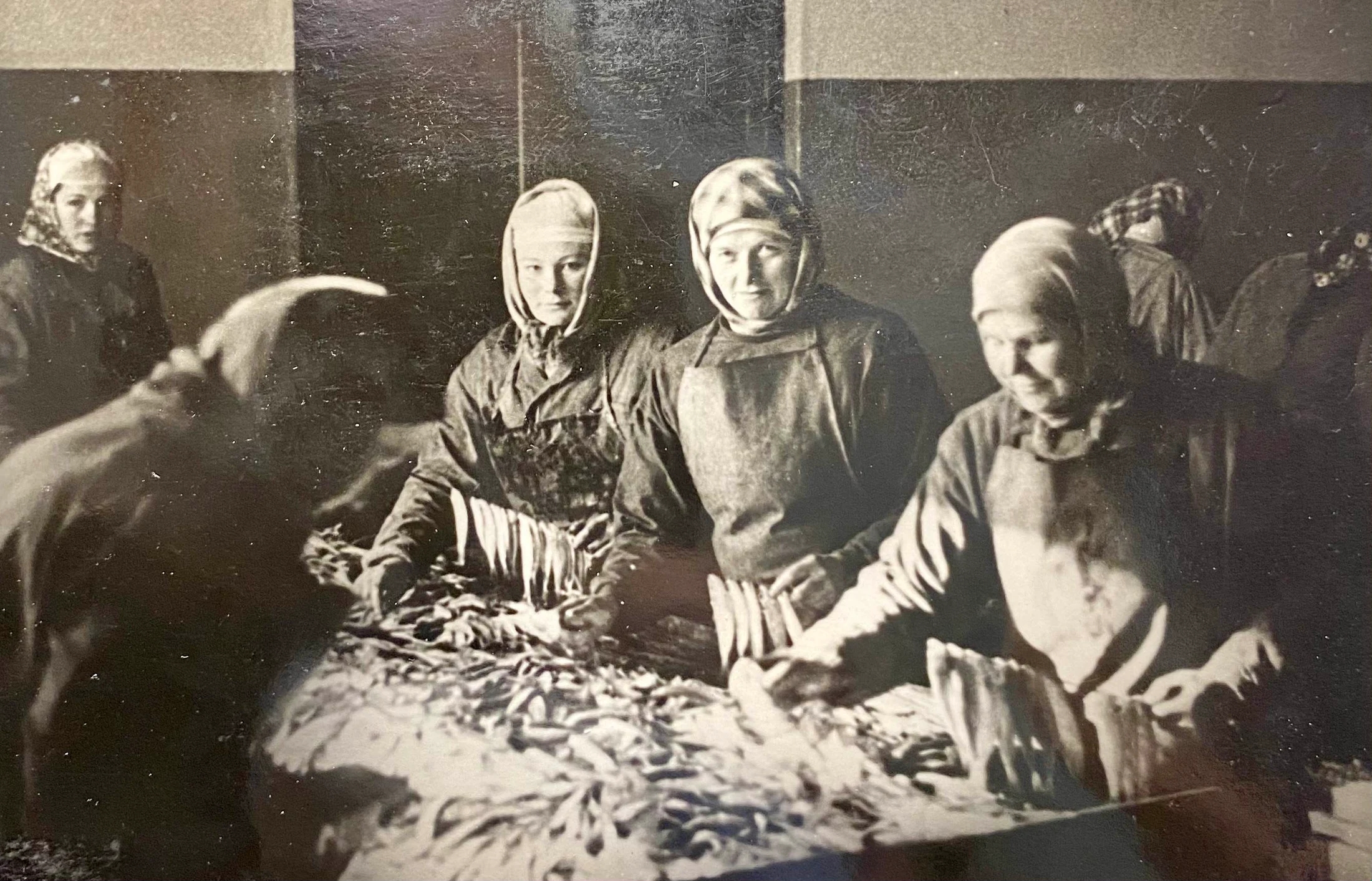 Women preparing fish by hand at the Engure production site